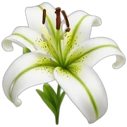 lily sticker