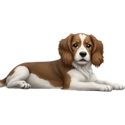 dog portrait with blurry backdrop sticker