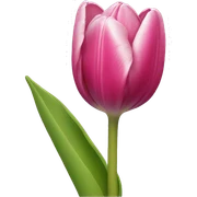 Tulip sticker