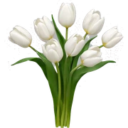 tulips white sticker