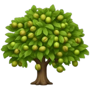 walnut tree sticker