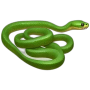 Snake sticker