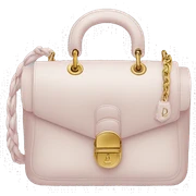 dior bag sticker