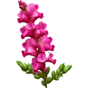 snapdragon sticker