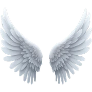 angel wings sticker