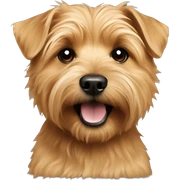 norfolk terrier sticker