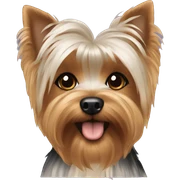 Yorkie sticker