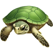 Sea turtle sticker