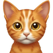 Orange kitten sticker