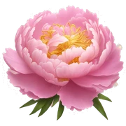 Peony "A lush pastel pink peony with layered, ruffled petals glowing softly, with sparkles and a magical golden light emanating from its center." sticker