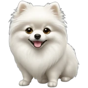 White Pomeranian sticker