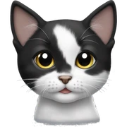 a small black and white kitten sticker