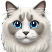 blue point ragdoll kitty sticker