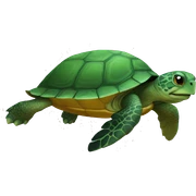 turtle sticker