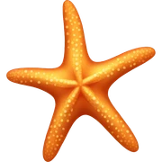 Starfish sticker
