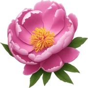 Peony sticker