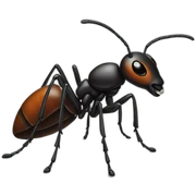 ant sticker