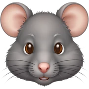 Rata sticker