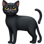 Gato negro  sticker