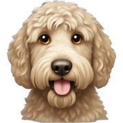 Labradoodle sticker