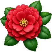 Beautiful red camellia flower with layered petals and glossy green leaves sticker