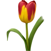 Tulipan amarillo sticker