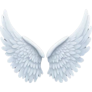 Angel wings sticker
