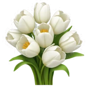 white tulip bouquet  sticker