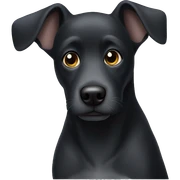 Black dog with grey ears sticker