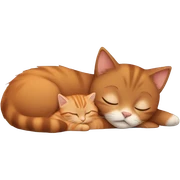 White girl brown hair sleeping with orange kitty sticker