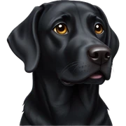 Black lab dog sticker