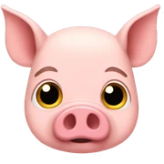pig  sticker