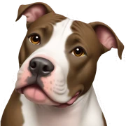 pit bull  sticker