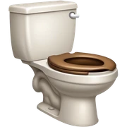 Poop toilet sticker