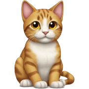 Cats drops sticker