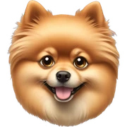 Pomeranian dog sticker