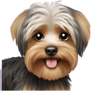 Yorkie poodle  sticker