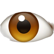 brown eye  sticker