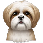 Shih tzu  sticker