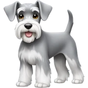 Miniature schnauzer grey and white  sticker