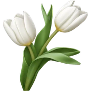 White tulips  sticker