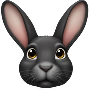 British spot rabbit black sticker