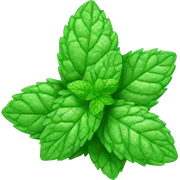 mint sticker