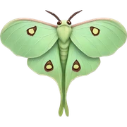 Luna Moth sticker