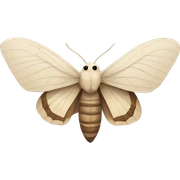 Moth sticker