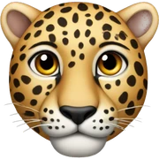 leopard  sticker