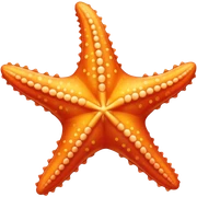 Starfish sticker