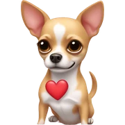 Chihuahua with heart sticker