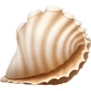 Seashell sticker
