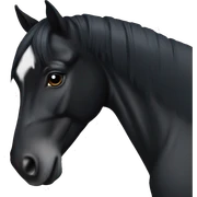 black horse no markings  sticker